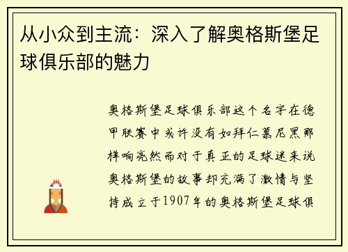从小众到主流：深入了解奥格斯堡足球俱乐部的魅力