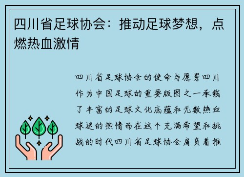 四川省足球协会：推动足球梦想，点燃热血激情