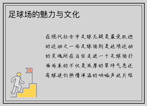足球场的魅力与文化