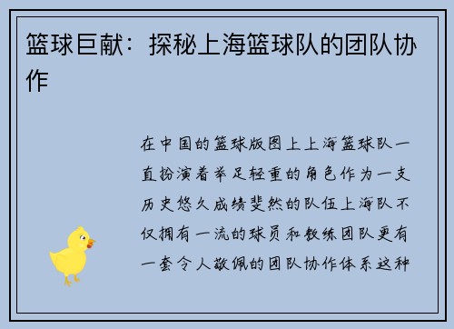 篮球巨献：探秘上海篮球队的团队协作