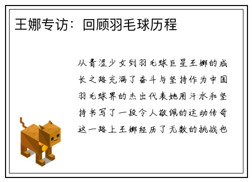 王娜专访：回顾羽毛球历程